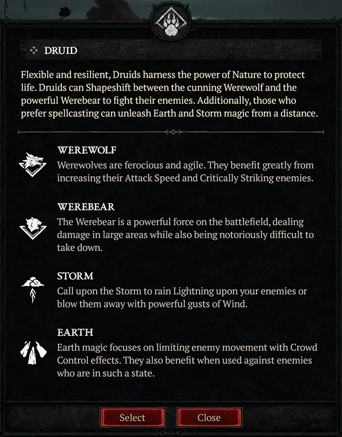Diablo IV character creation Druid summary