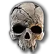 Diablo 4 Skull