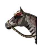 Diablo 4 Grisly Calico Mount