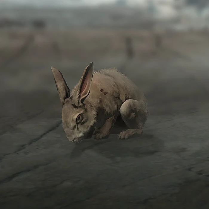 Diablo 4 rabbit